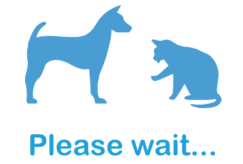 Loading Icon Bow Wow Meow Pet Insurance