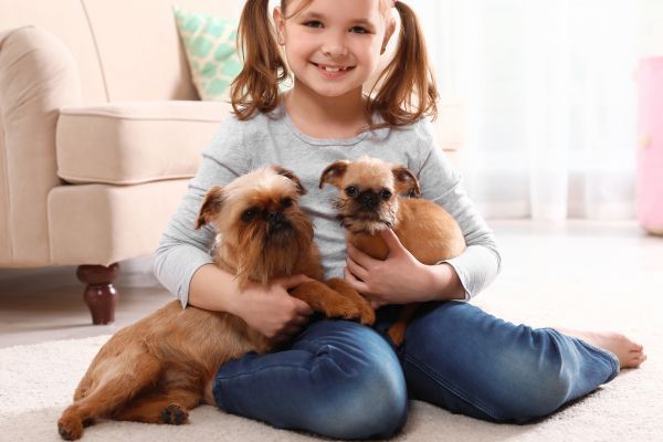 Little girl with her pet Brussels Griffons