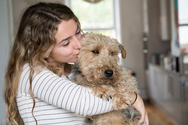 Affectionate teenage girl embracing Welsh Terrier