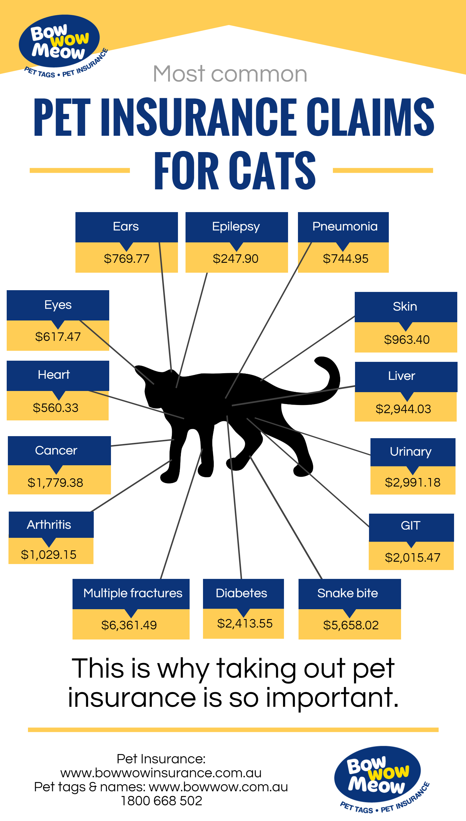 Cat Insurance Infographic