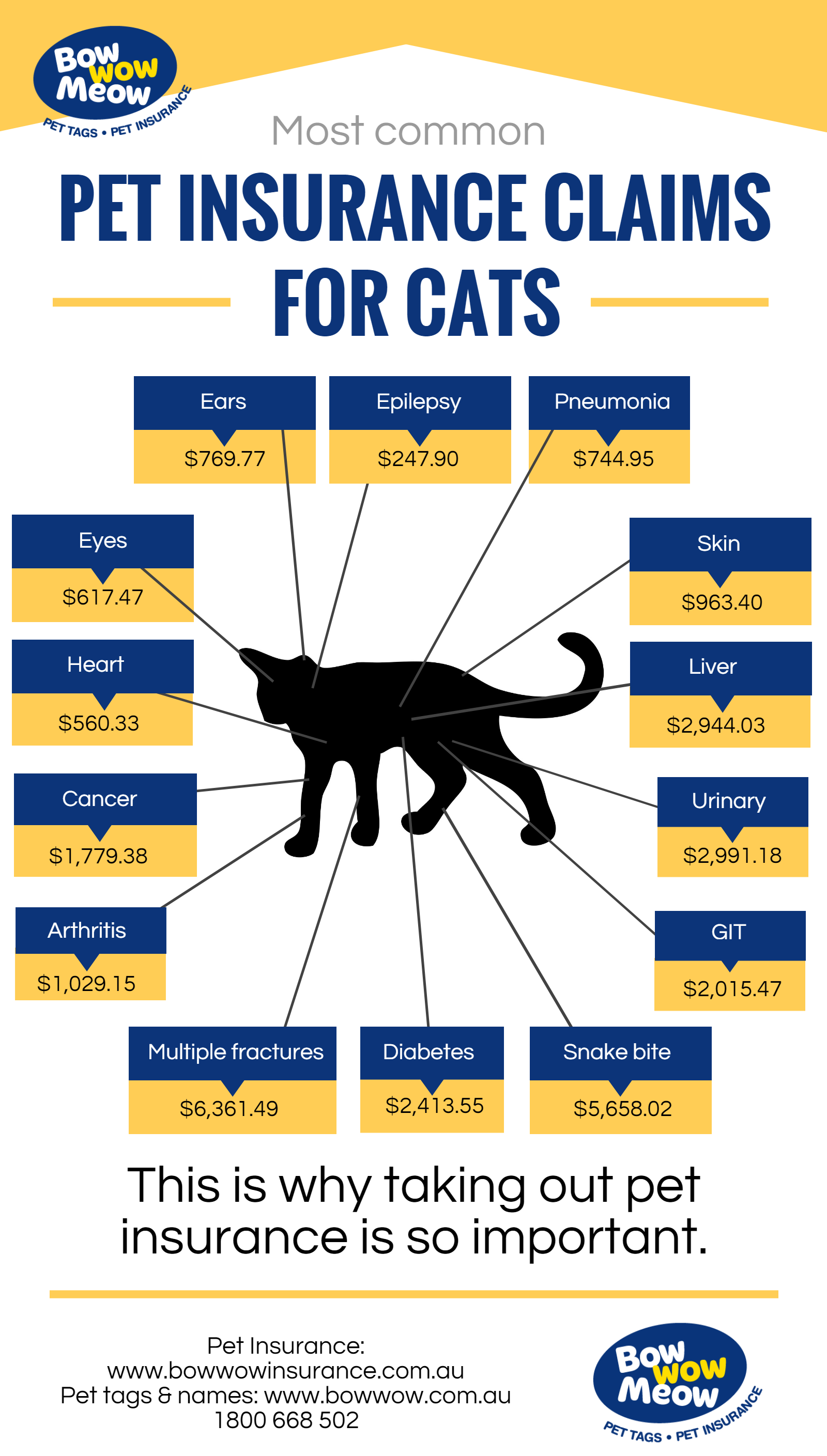 cat travel insurance