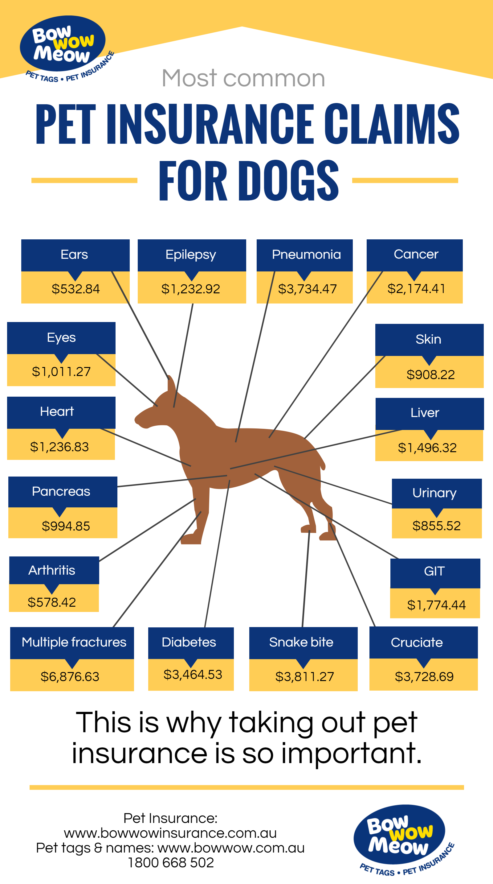 Dog Pet Insurance Claim Statistics Infographic Australia