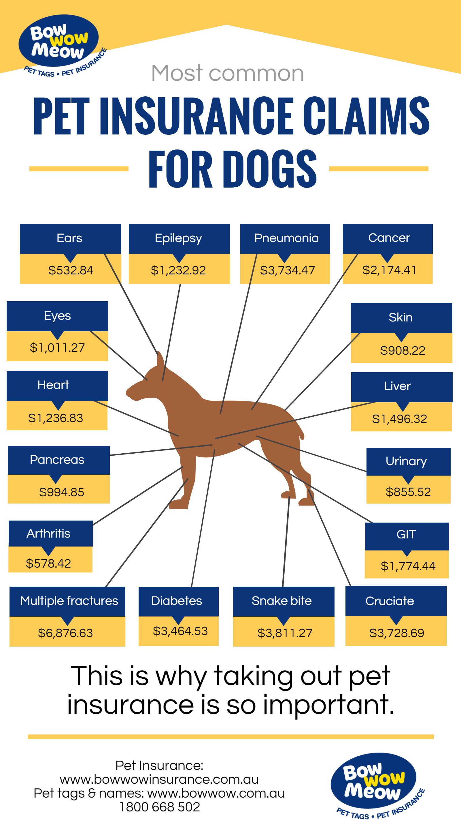 Dog Insurance Claims Infographic 