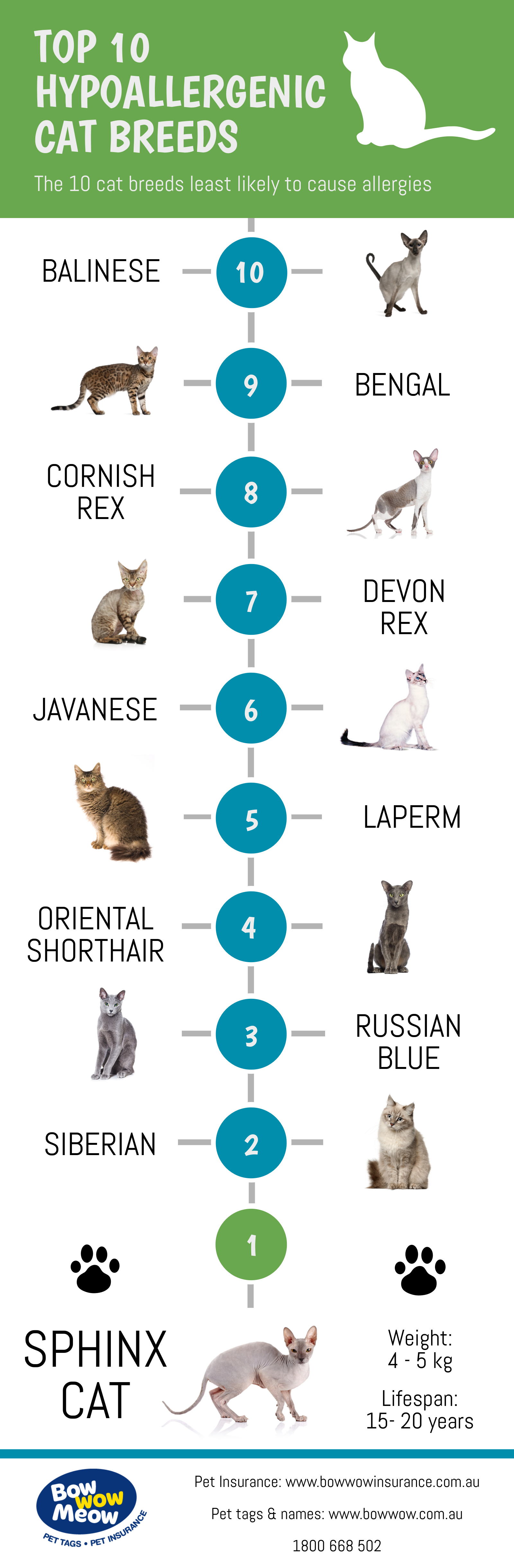 Hypoallergenic Cats Infographic