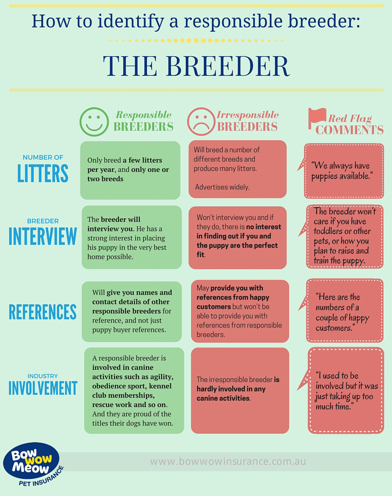 Identify Responsible Breeder - The Breeder