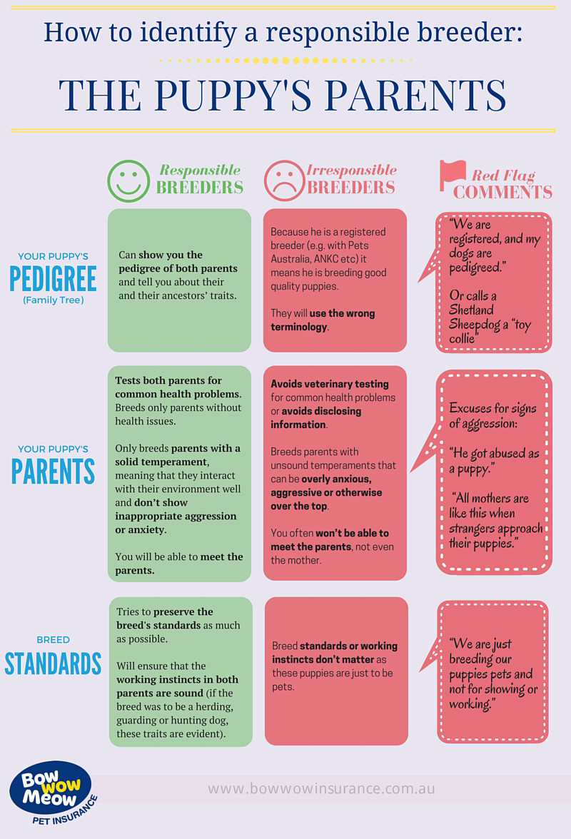 Identify Responsible Breeder - Puppy Parents