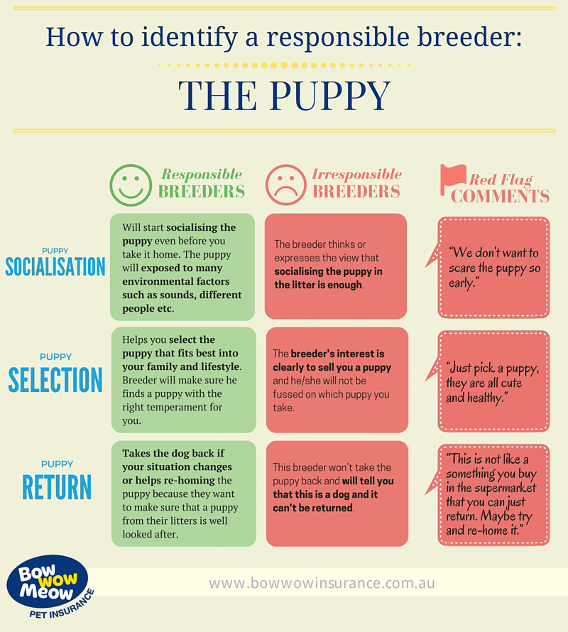 Identify Responsible Breeder - Puppy