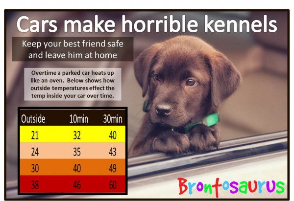 Temperatures in cars on hot days are dangerous for dogs