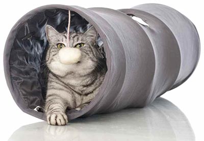 cat-in-tunnel-toy-playing