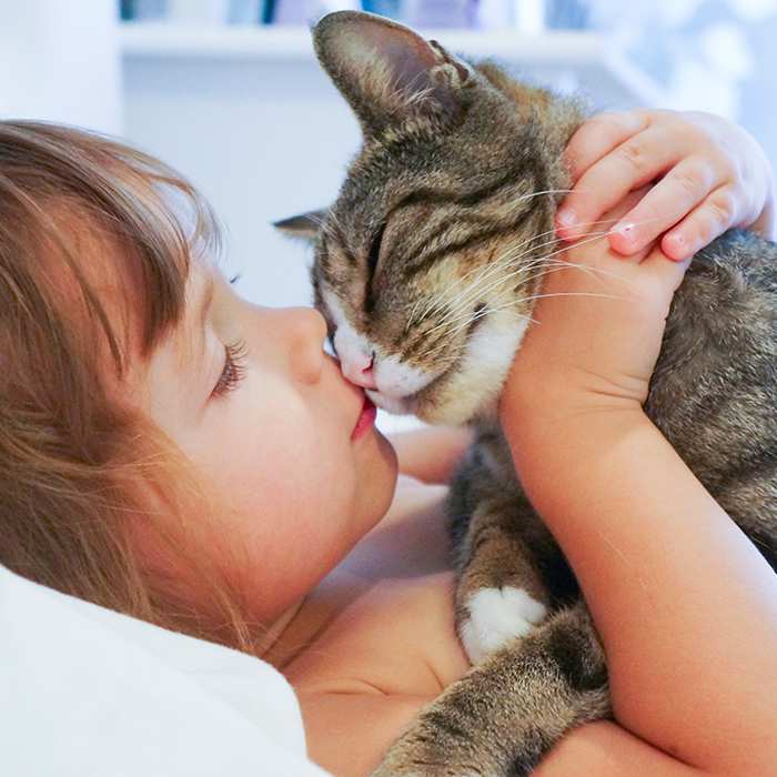 child-lying-in-bed-kissing-cat