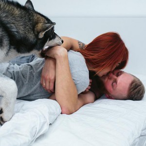 Couple in bed, Husky dog playing