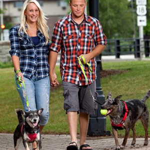 couple-walking-dogs