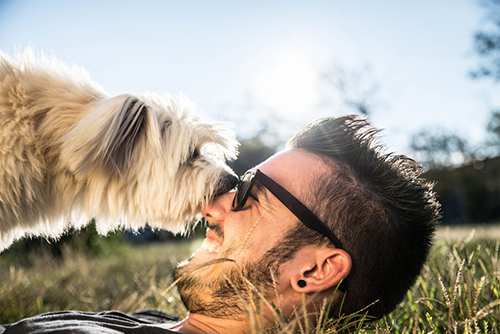 Father's Day Gift Guide for dog dads