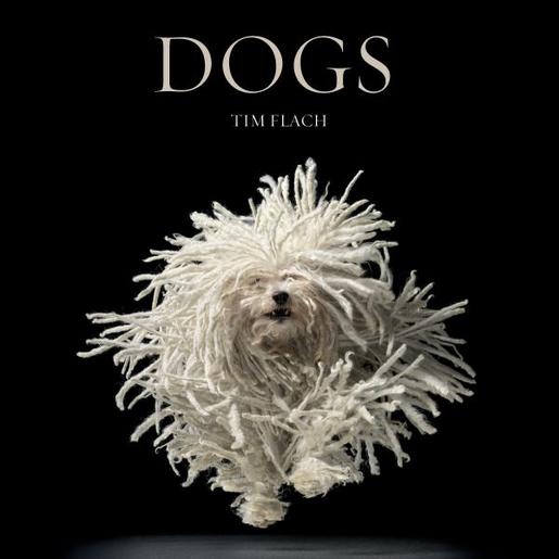 Book Dogs by Tim Flach