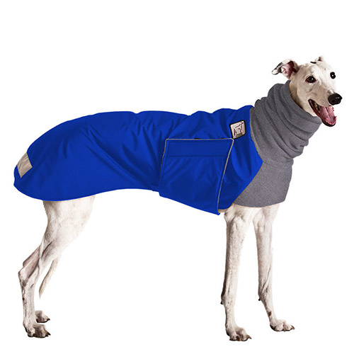 greyhound-coat