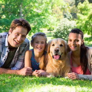 happy-family-with-their-beautiful-golden-retriever-lying-in-grass