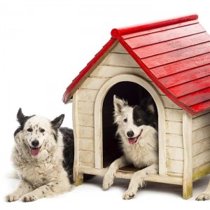 Dog Kennels Product Guide