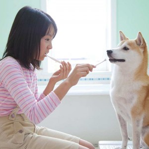 little-asian-girl-brushing-teeth-with-her-dog-shiba-inu-700×700-300×300