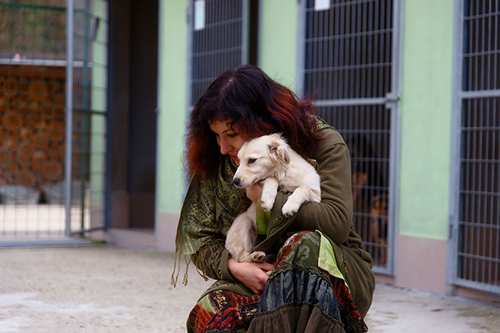 midage-lady-with-rescue-puppy-dog-ethno-dress-in-shelter