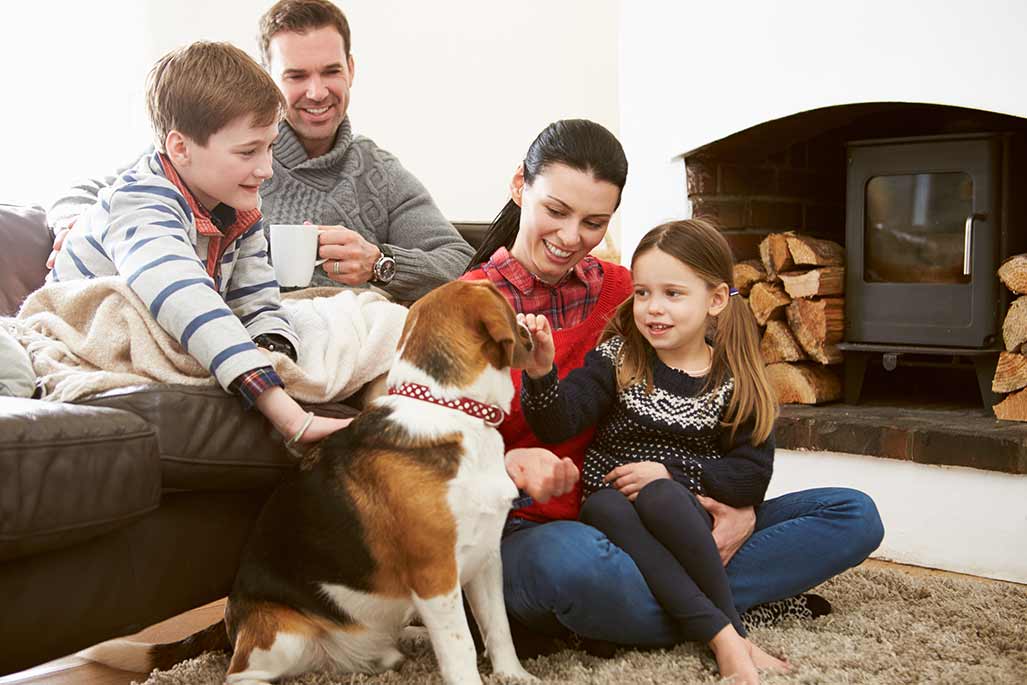 pet-holiday-dog-family-winter