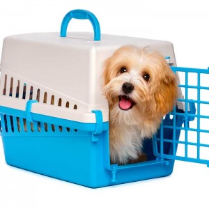 Crate training your puppy - practical uses and tips