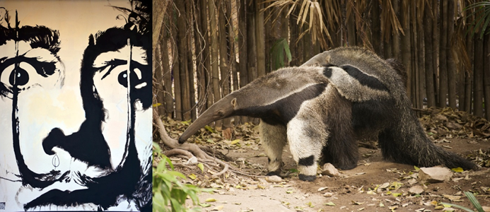 salvador-dali-anteater-10-unlikely-celebrity-pets