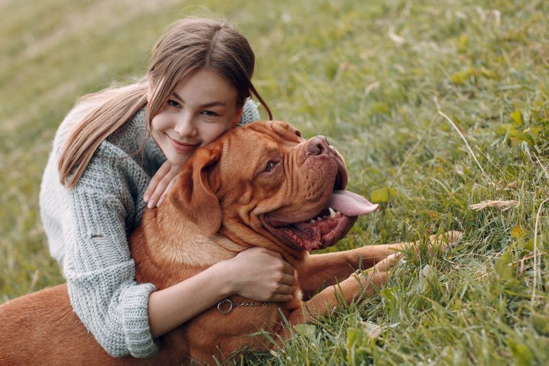 Dogue de Bordeaux or French Mastiff with young woman at outdoor park meadow.