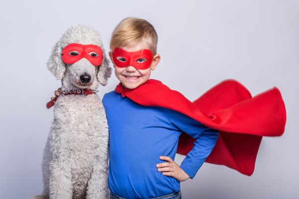 Handsome little superman with dog. Superhero. Royal Poodle
