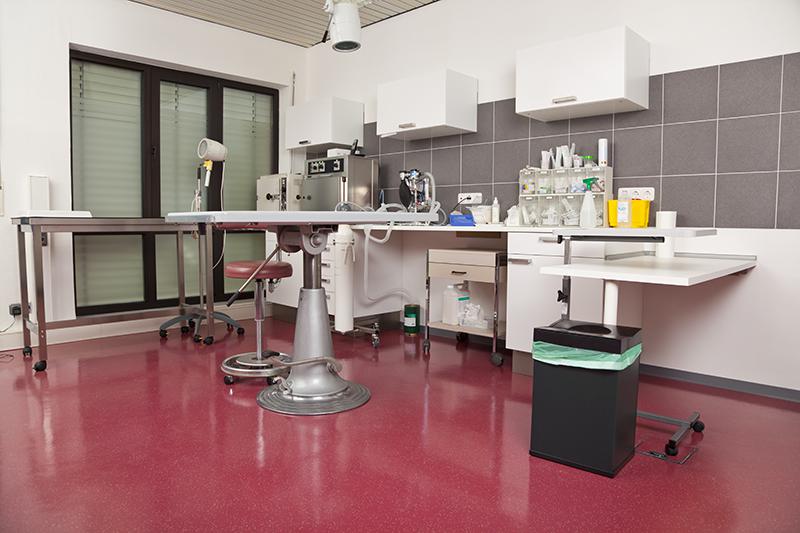 Veterinarian Surgery Room