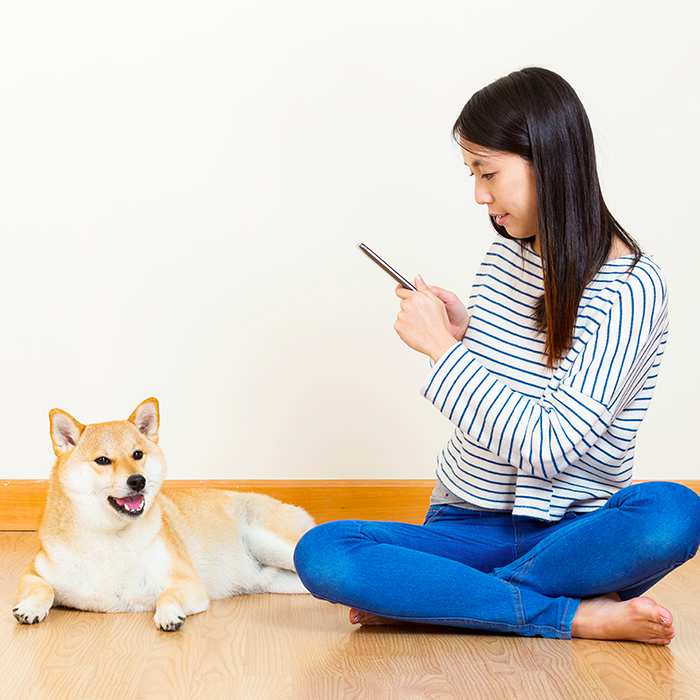 top-pet-apps-girl-with-phone-and-dog-shiba-inu