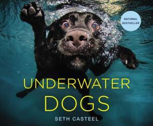 Book Underwater Dogs