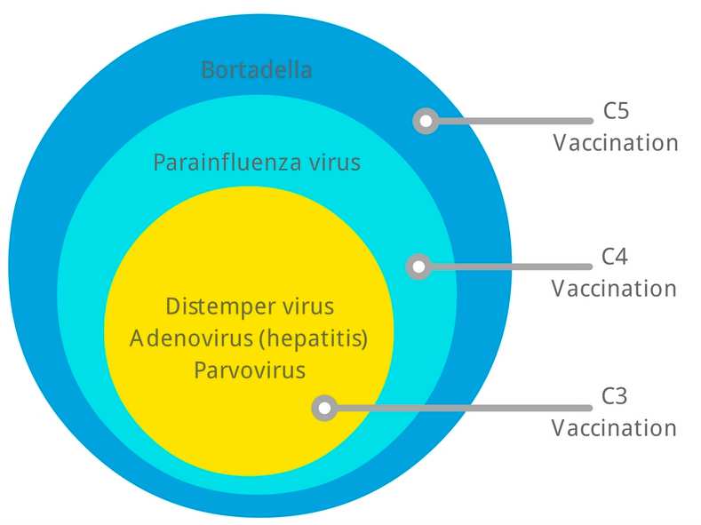 C3 vaccination for store dogs