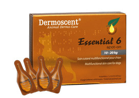 Dermoscent Essential-6-spot-on-med