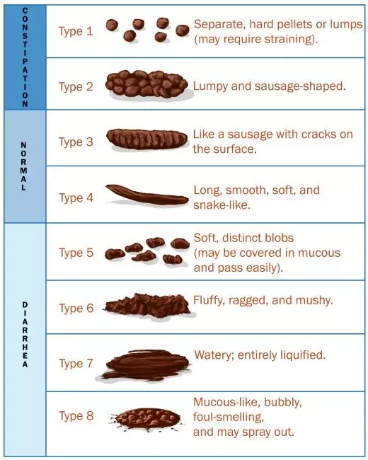 Abnormal faeces in dogs and cats