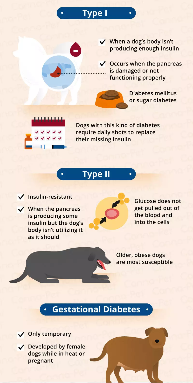 Can diet cure diabetes in dogs