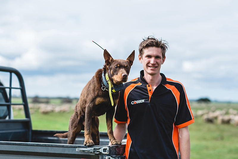 Cobber Working Dog Challenge - 2018 Cobber Champion Boof with owner Henry Lawrence