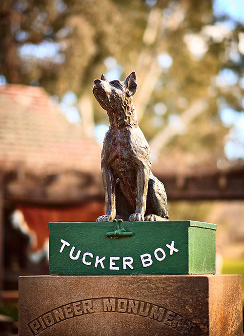 The dog on the tuckerbox (Source: https://www.thedogonthetuckerbox.com/)