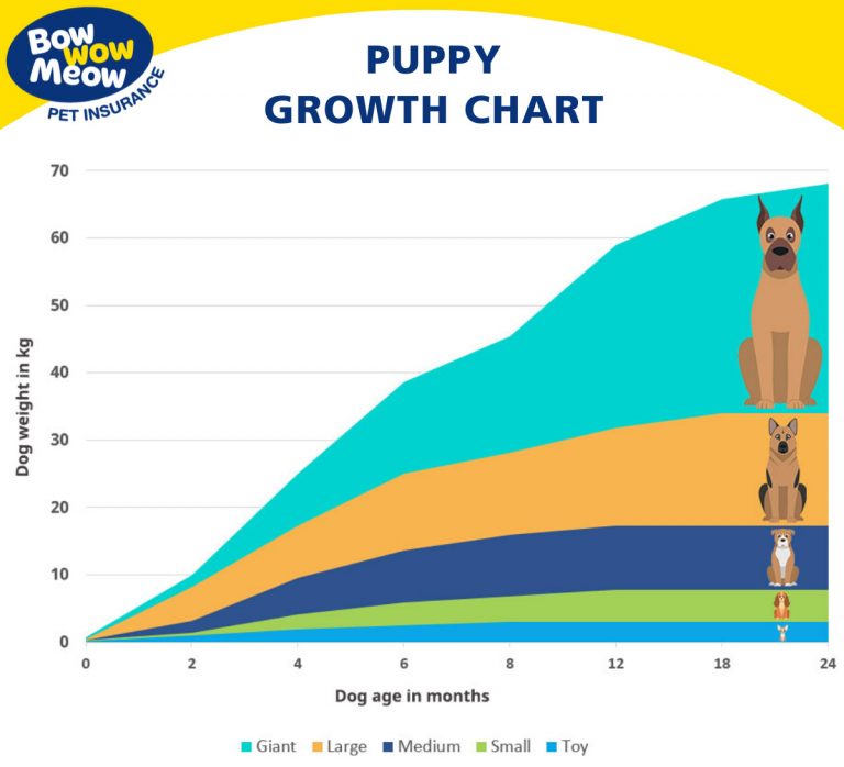 Puppy Development Stages Newborn Milestones & Growth Charts