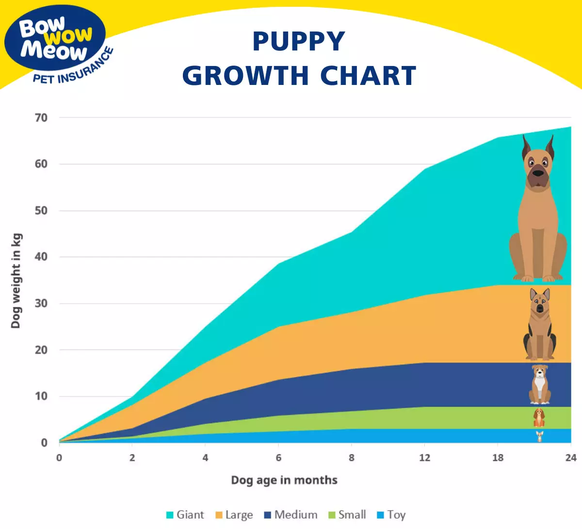 Medium sized dog weight chart