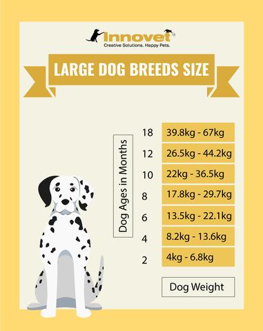 Dog Development Stages Chart