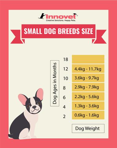 Dog Growth Chart - Small Size Dogs, Examples of the Small Breed include: Affenpinscher, Bichon Frise, Bolognese, Boston Terrier, Brussels Griffon, Cavalier King Charles Spaniel, Dachshund, Havanese, Japanese Chin, Lhasa Apso, Lowchen, Maltese, Maltese Shih Tzu, Maltipoo, Manchester Terrier, Miniature Pinscher, Papillon, Peekapoo, Pekingese, Pomeranian, Poodle, Pug, Shih Tzu, Silky Terrier, Toy Fox Terrier, Yorkshire Terrier