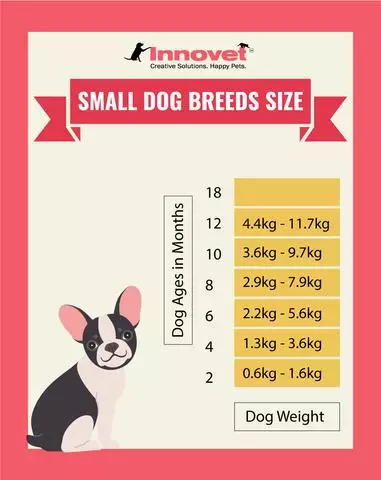 Dog Growth Chart