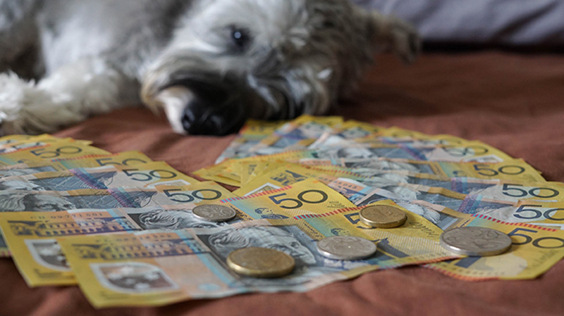 Cost of owning a dog in Australia