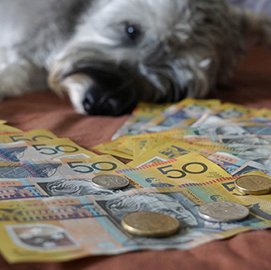 Dog with money thumb