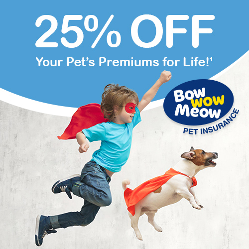 Dog Insurance Get 25 Off for Life* Best Pet Insurance