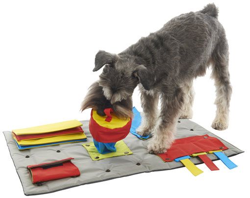 dog - buster activity mat