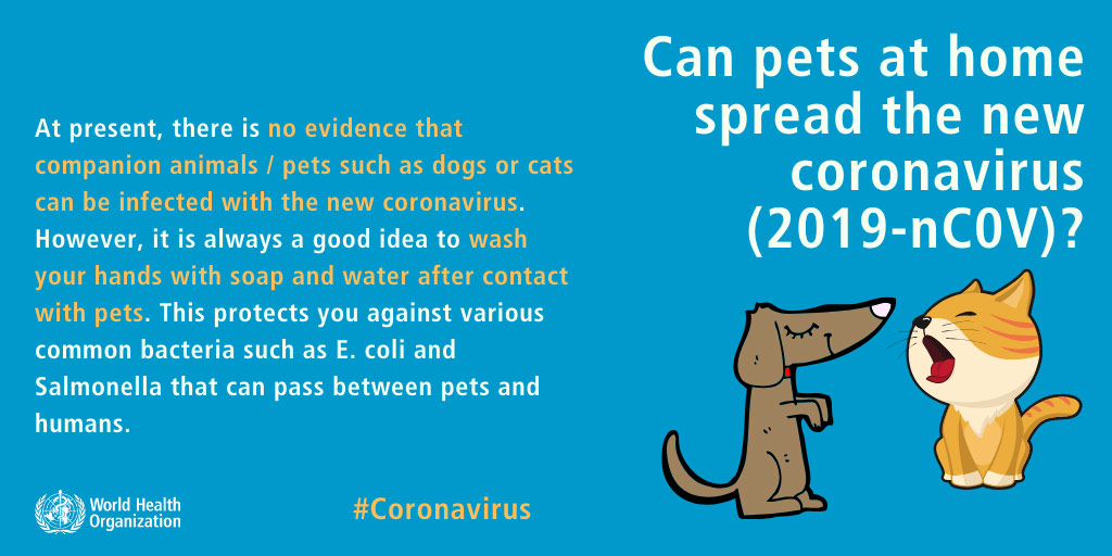 corona covid 19 dogs pets cats - who world health organization mythbuster 1