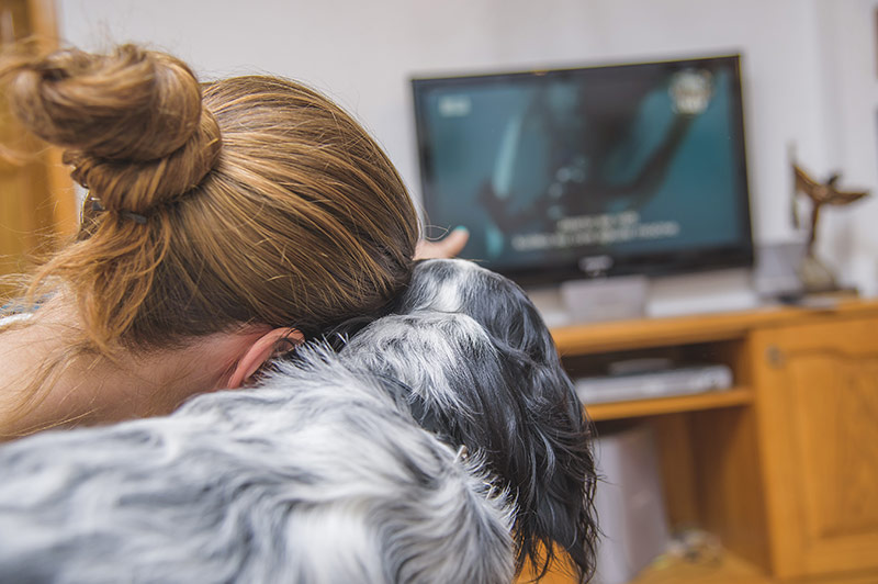 corona covid 19 dogs pets cats - women watching TV with her cocker spaniel dog
