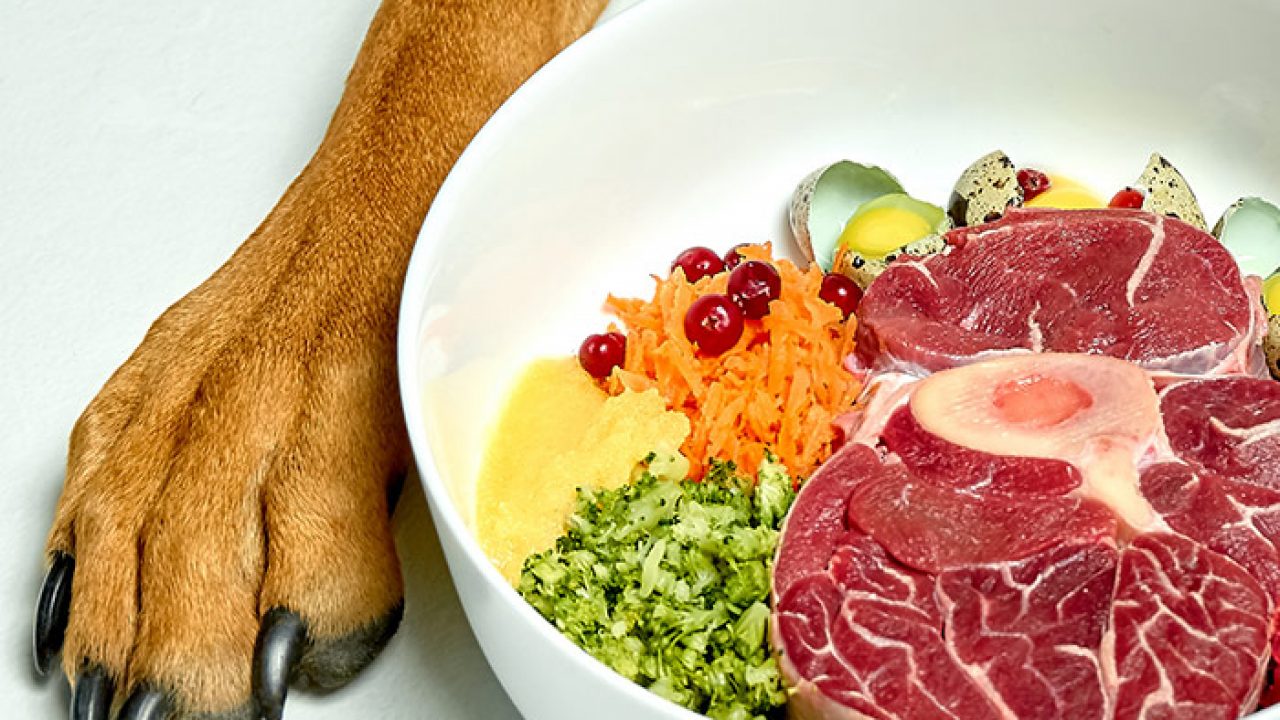 good foods for dogs to eat