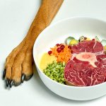 Emergency dog food: Safe foods for dogs to eat